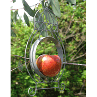 Apple Bird Feeder