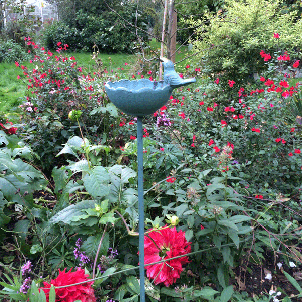 Bird Dish on Stake