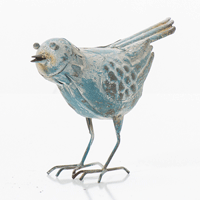 Bird Looking Forward