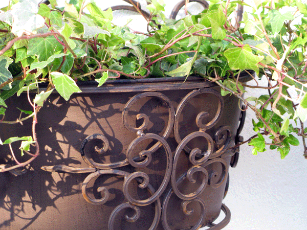 Curved Wall Planters