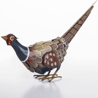 Feeding Pheasant