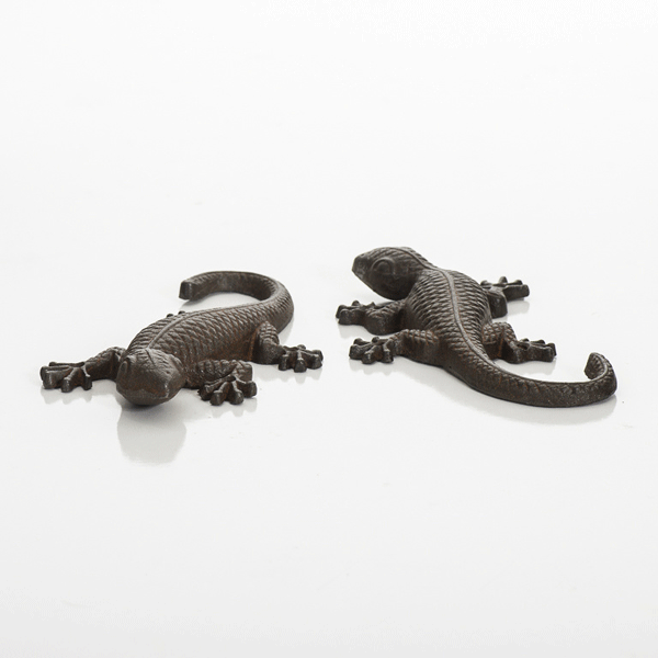 Pair of Lizards