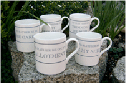 Gardeners' Mugs - I'd rather be on my allotment