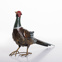 Regal Pheasant