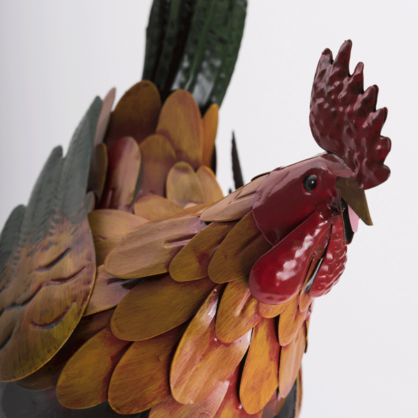 Rooster
